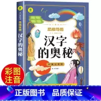 汉字的奥秘 [正版]汉字的奥秘彩图注音版 小学生一二三年级阅读课外书阅读老师