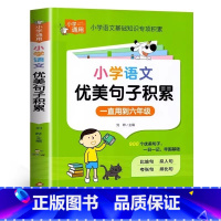 优美句子积累 小学通用 [正版]小学语文优美句子积累大全好词好句好段作文素材小学生一二年级三年级四五六年级修辞手法摘抄本