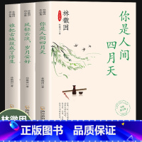 林徽因作品集(全三册) [正版]林徽因作品集全三册 你是人间四月天 风轻云淡岁月安好 谁把古城筑成了浮生 散文小说作品全