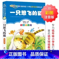 一只想飞的猫 [正版]一只想飞的猫 原著 儿童小学生版彩图注音版一二三年级阅读课外书阅读书目 6-8-10岁少儿阅读中国