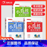 [3本]语数英总复习 小学通用 [正版]2024小升初语文数学英语总复习知识大全六年级下册名师帮你小学升初中系统总复习人