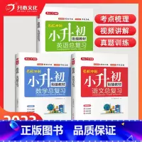 [3本]语数英总复习 小学通用 [正版]2024小升初语文数学英语总复习知识大全六年级下册名师帮你小学升初中系统总复习人