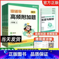 高频易错题+高频附加题 一年级上 [正版]2024新版高频附加题小学数学一二三四五六年级年级上下册数学思维训练专项提升学