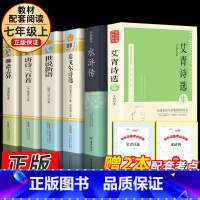 赠考点(版本随机)九年级上册6册 [正版]简爱儒林外史九年级下册水浒传和艾青诗选无删减完整版课外书
