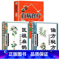 [3册]医祖扁鹊+偏方秘方+百病食疗 [正版]医祖扁鹊奇方妙治 中医药经典著作家庭实用百科全书养生大系民间养生中医药著作