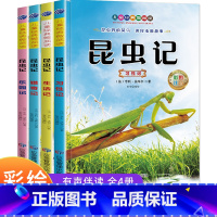 昆虫记(全4册) [正版]全套4册 昆虫记法布尔小学生注音版原著完整版 一二年级阅读课外书籍儿童昆虫百科全书幼儿绘本故事