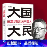 大国大民:王志纲话说中国人 [正版]大国大民 王志纲话说中国人 中国大江南北历史人文社科书籍 继林语堂吾国与吾民后新国民