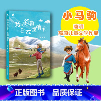 我的爸爸在云端哨卡 [正版]我的爸爸在云端哨卡 唐明著 小马驹丛书系列暖心友爱原创成长系列长篇小说关怀儿童心灵成长四川