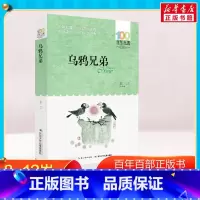 乌鸦兄弟 [正版]乌鸦兄弟 金江 著 著 儿童文学少儿 书店图书籍 长江少年儿童出版社