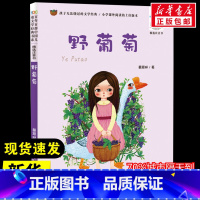 野葡萄 [正版]野葡萄注音版 葛翠琳著经典儿童文学少儿长江少年儿童出版社小学生一年级二年级课外书阅读6-7-8岁寒假知识