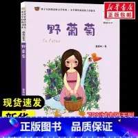 野葡萄 [正版]野葡萄注音版 葛翠琳著经典儿童文学少儿长江少年儿童出版社小学生一年级二年级课外书阅读6-7-8岁寒假知识