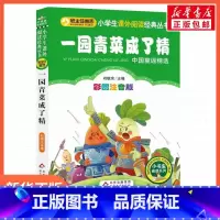 一园青菜成了精 [正版]彩图注音版一园青菜成了精刘敬余一年级二年级三年级上册下童话文学睡前读物图书本小学生课外阅读书籍少