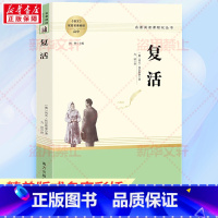 复活 [正版]复活 (俄罗斯)列夫·托尔斯泰 著 闻钟 编 力冈 译 世界名著文教 书店图书籍 南方出版社