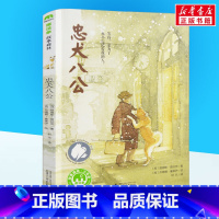 忠犬八公 [正版]忠犬八公书 魔法象故事一二三四年级阅读8-9-10-12-14岁儿童文学小学生课外阅读书籍书籍20