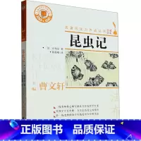 昆虫记 [正版]昆虫记 (法)法布尔 著 陈筱卿 译 儿童文学文学 书店图书籍 浙江文艺出版社