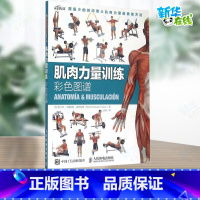 身体灵活性科学训练全书 [正版]来自西班牙的健身新体验,新式硬派健身,高清图谱指引你把动作做得更加精准到位,突破囚徒式健