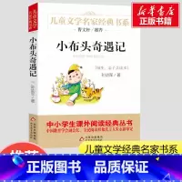 小布头奇遇记 [正版]小布头奇遇记一年级三年级四年级孙幼军儿童文学名家经典书系 小学生一二年级课外书阅读儿童故事书6-1