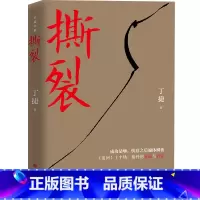 撕裂 [正版]撕裂 丁捷 著 著 官场小说文学 书店图书籍 中国文联出版社