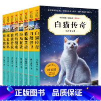 [第7辑 8册]一次性看完 [正版]狼族传说 第七辑 海岛狂鲨沈石溪动物小说全集作品精品集系列儿童文学书三四五六年级课外