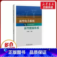 新型电力系统与新型能源体系 [正版]新型电力系统与新型能源体系 辛保安 编 工业技术其它专业科技 书店图书籍 中国电力出