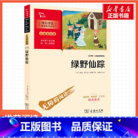 智慧熊绿野仙踪 [正版]绿野仙踪新彩插励志版莱曼·弗兰克·鲍姆三年级四年级五年级六年级小学生课外阅读书籍中小学生书青少年