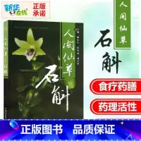 人间仙草:石斛 [正版]人间仙草 石斛 中华九大仙草之一 赖小平 侯少贞 刘星华 石斛基本知识 铁皮石斛中药学