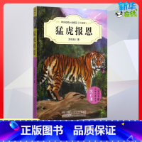 猛虎报恩 [正版]猛虎报恩 沈石溪 等 著 著 儿童文学少儿 书店图书籍 安徽少年儿童出版社