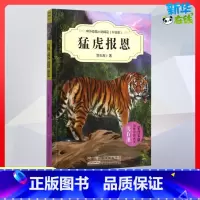 猛虎报恩 [正版]猛虎报恩 沈石溪 等 著 著 儿童文学少儿 书店图书籍 安徽少年儿童出版社