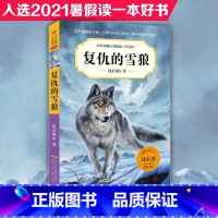 复仇的雪狼 [正版]复仇的雪狼 第六辑 沈石溪动物小说全集中外精品小学生三年级四年级课外书10-12-15周岁小学生课外