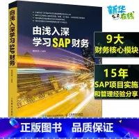 由浅入深学习SAP财务 [正版]由浅入深学习SAP财务 高林旭 编 办公自动化软件(新)专业科技 书店图书籍 人民邮电出