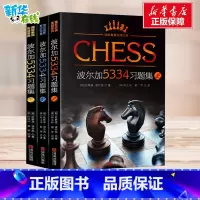国际象棋实战宝典波尔加5334习题集(全3册) [正版]国际象棋实战宝典波尔加5334习题集(全3册) (匈)拉斯洛·波
