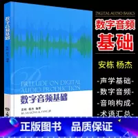 [正版]数字音频基础 安栋 杨杰 上海音乐学院出版社
