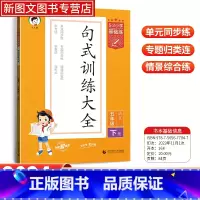 语文 五年级下 [正版]2024新版53小学基础练语文句式训练五年级下册小学句子造句仿句修改病句阅读理解专项训练