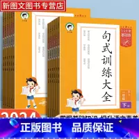 语文 一年级下 [正版]2024新版53小学基础练语文句式训练一二三四五六年级下册语文小学句子造句仿句修改病句阅读理解专