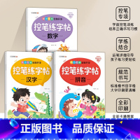 控笔练字帖全套三本 [正版]幼小衔接全脑开发控笔练字帖拼音数字汉字全套3册一日一练3到6岁图例读音声母韵母整体认读音节运