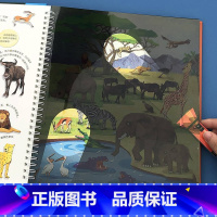 默认规格 [正版]小手电大发现-动物 幼儿读物宝宝启蒙认知翻翻游戏书2-3-4-5-6岁儿童科普百科全书幼儿园早教认知启