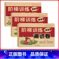 [全10册]阶梯训练测试卷 [正版]幼小衔接试卷测试卷全套拼音数学语言专项训练一日一练 学前班语文数学练习题拼音拼读训练