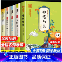 快乐读书吧二年级下册[全5册] [正版]神笔马良二年级必读 全套5册快乐读书吧二年级下册注音版一起长大的玩具七色花大头儿