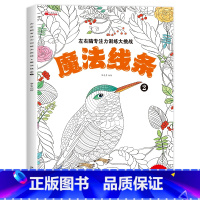 左右脑专注力训练大挑战(魔法线条2) [正版]专注力训练魔法 迷宫线条左右脑思维专注力进阶训练神器3-6-7-8岁12岁