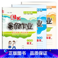 3册三年级语数英 小学通用 [正版]小学生暑假作业全套一年级二年级三年级四五六年级衔接上下册语文数学英语人教版冀教苏教北