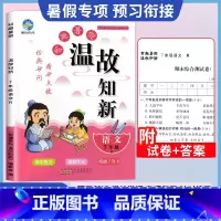 语文[人教] 七年级/初中一年级 [正版]2024版暑假作业七年级升八年级升九年级衔接暑假作业智取温故知新语文数学英语物