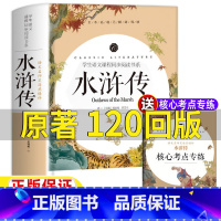 水浒传[完整120回 942页] [正版]水浒传全一册原著120回版名师导读带批注文言文版原著原版完整无删减版施耐庵著九