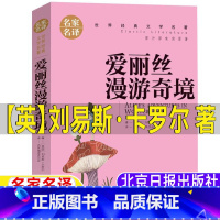爱丽丝漫游奇境 [正版]爱丽丝漫游奇境记英刘易斯卡罗尔著文学类五年级上册下册六年级必读北京日报出版社名家名译快乐读书吧阅