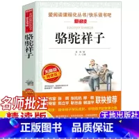 骆驼祥子 [正版]骆驼祥子五年级下册老舍原著名师导读带批注考点无障碍精读版立人主编天地出版社小学生三四五六年级课外书籍
