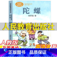 陀螺 [正版]陀螺书高洪波著四年级上册课外书人民教育出版社彩图美绘版人教版语文配套阅读王林主编课文作家作品系列