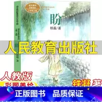 盼 [正版]盼铁凝著人民教育出版社六年级上册必读的课外书人教版语文配套阅读课内作家作品系列