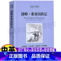 汤姆索亚历险记[中英文版] [正版]汤姆索亚历险记英文版原版中英文对照双语版英汉互译读名著学英语系列青少年中小学生课外书