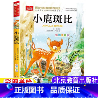 小鹿斑比 [正版]小鹿斑比课外书注音版一年级二年级三年级上册下册通用小鹿班比彩图美绘版带拼音北京教育出版社大语文系列丛书