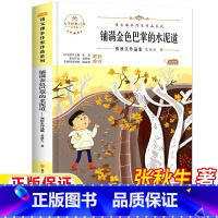 铺满金色巴掌的小泥道 [正版]铺满金色巴掌的水泥道张秋生著三年级上册北方妇女儿童出版社非注音版精美插图插画老师语文同步阅
