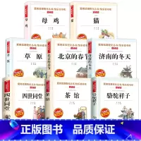 [全套八册]老舍作品集 [正版]老舍全集老舍儿童文学作品选四世同堂草原北京的春节茶馆济南的冬天骆驼祥子原著小学生老舍读本